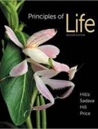 Principles Of Life Second Edition Pdf How To Memorize Things Biology Textbook Principles