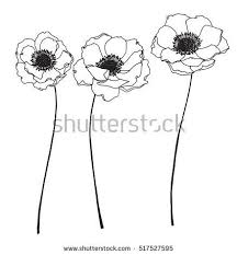 Anemone Clipart Black And White Collection Set Of Anemone Flower By Hand Drawing On White Backgrounds Flower Line Drawings Flower Drawing Doodle Art Flowers