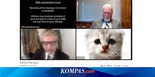 A lawyer showed up to virtual court in the 394th district of texas with a kitten filter turned on, the cat moving its lips and eyes, as rod ponton said he an. Texas Lawyers Turns Into Cats During Virtual Court Hearings All Netral News