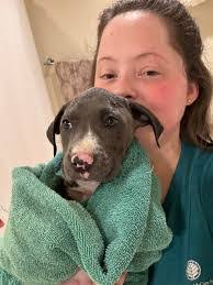 Matthew Ooms's Instagram, Twitter & Facebook