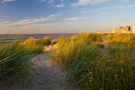 It lies adjacent to the dutch border; Nature In Knokke Heist L Hotel Lugano