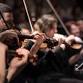 Ultimate Film Music: A Tribute to Zimmer, Williams event image