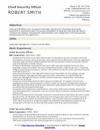 Your working experience and skills plus our functional resume builder. Chief Security Officer Resume Samples Qwikresume