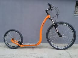 Die Legendaren Xh Roller Made In Schriese Kickbike Tretroller Dogscooter Verkauf Und Vermietung In 2020 Tretroller Roller Treten