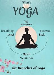 Pin By Mauren Morera Lizano On Yoga 3 Meditation For Beginners Yoga Meditation