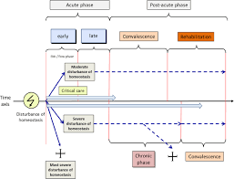 2019 acc expert consensus decision pathway on risk assessment, management, and clinical trajectory of patients hospitalized with heart failure. Clinical Nutrition In Critical Care Medicine Guideline Of The German Society For Nutritional Medicine Dgem Clinical Nutrition Espen