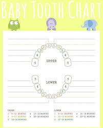 teething isnt for babies gift basket baby teething chart