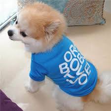 Animals and pets cute animals yorkie clothes goofy pictures yorky silky terrier yorkie puppy motivational pictures all things. Dog Clothes Wakeu Bornedeol T Shirt Pet Puppy Apparel For Small Dog Boy