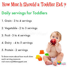 how much should a toddler eat my little moppet