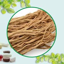 1️⃣ Địa Chỉ Mua Bán Lộ Đẳng Sâm Tại HCM ™【420k/ 1kg】