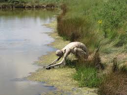 Victor S Way Sculpture Park A Contemplative Garden Gallery Wicklow Ireland Pin On Sculptures