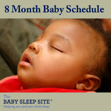 8 Month Old Baby Schedule Sample Schedules The Baby