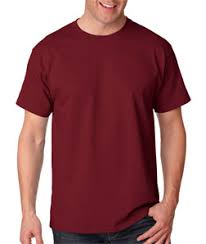 Hanes 5250 Adult Tagless T Shirt