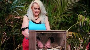 Maybe you would like to learn more about one of these? Sarah Connor Sorgte Mit Ihrem Kleid Bei Wetten Dass Fur Wirbel Stern De