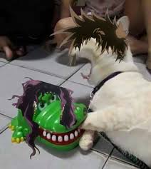 My Leg Is Melting Jojo Bizarre Jojo Bizzare Adventure Jojo S Bizarre Adventure