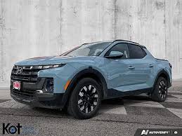 Image result for Blue Stone 2025 Santa Cruz