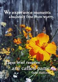 The rose by nixon waterman. Wildflower Quotes And Sayings Quotesgram