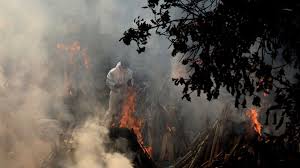 How long does it take to cremate a body? India Covid Delhi Builds Makeshift Funeral Pyres As Deaths Climb Bbc News