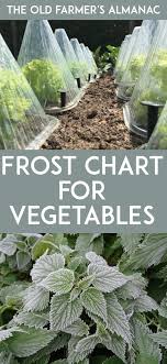 We did not find results for: Protecting Your Garden From Frost Frost Protection For Plants Gardening Zones Protect Garden From Frost