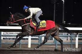 內圈捕影│「開心寶寶」朝氣勃勃