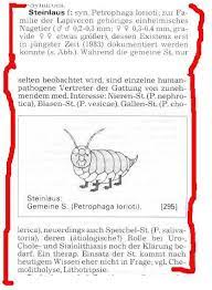 Die steinlaus ist wieder da. Humor Bucherecke Buchertipps Fur Leseratten Forum Fur Lange Menschen