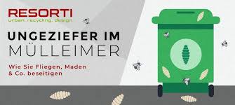 Ich wohne in der schellingstraße. Maden Fruchtfliegen Ameisen Im Mulleimer Resorti Blog