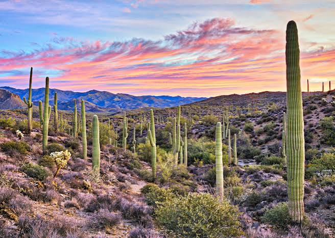 Arizona travel guide: Everything you need to know about visiting Arizona