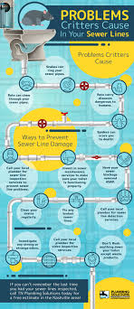 Check spelling or type a new query. Can Rodents Cause Plumbing Problems Nashville Plumber