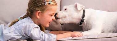 Georgia pet friendly hotels and motels. Virginia Pet Friendly Hotels Find Ihg Dog Friendly Hotels In Virginia