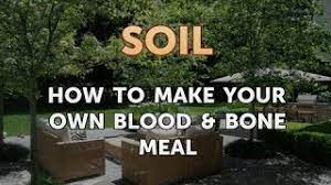 Buy wholesome blood meal for sale on alibaba.com at unbeatable prices and witness instant health benefits. How To Make Your Own Blood Bone Meal Youtube
