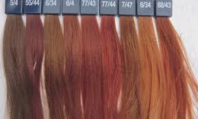 Loreal Hair Color Shades Chart India Best Picture Of Chart