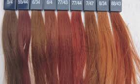 loreal hair color shades chart india best picture of chart