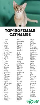 Find the perfect female kitten names with our collection of 500+ popular & unique female cat names. Names For Girl Kittens Grey