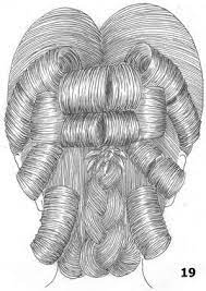 Epingle Sur Coiffures Historiques