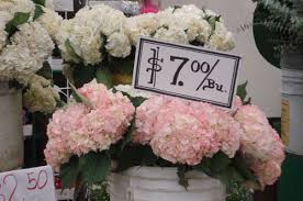 Hill street, olive street, and. Such Pretty Things Los Angeles Flower Market