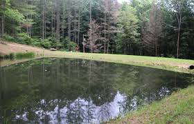 Check spelling or type a new query. Blue Gill Pond Cabin Good Earth Cabins Located In Hocking Hills Ohio