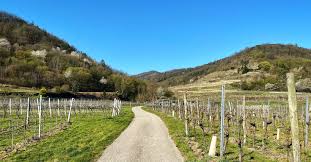Travel guide resource for your visit to rossatz. Wandern Am Panoramaweg Rossatz Wachau Inside