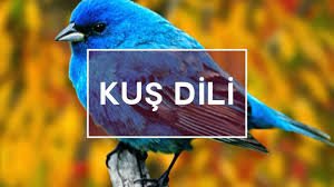 Kus Dili Ezoterizmin Alfabesi Olan Temel Semboller Youtube