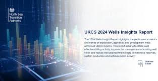 How to access resources in a cost-effective way: Wells Report