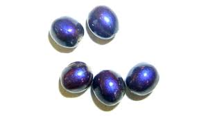 Image result for Pollia condensata