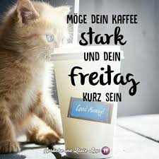 Hahaha Guten Morgen Freitag Freitag Katze Guten Morgen