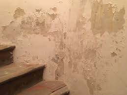 Decollement Des Peintures Humidite Sur Les Murs De La Maison Axe Assechement Propose Des Diagnostics Humidite En France Maconnerie Salpetre Cloison