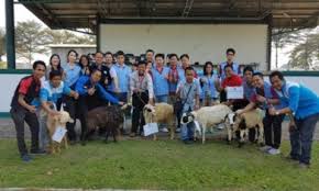 Info lebih lanjut segera hubungi kami di (021) 22595320 atau +62 81388629478 å®æˆå›½é™…é›†å›¢ Csrè®¯æ¯