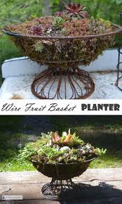 Wire Fruit Basket Planter A Run Of The Mill Basket Made Fabulous Wire Fruit Basket Basket Planters Recycled Garden