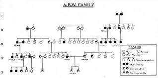 Eugenics Exhibit 2 4 Eugenics Three Generations No