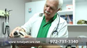 Dallas animal hospital is a medical facility for animals that provides a comprehensive set of animal medical care services for dogs, cats, household pets and other animals in dallas, tx. Welcome To North Tollway Pet Hospital Veterinarian In Dallas