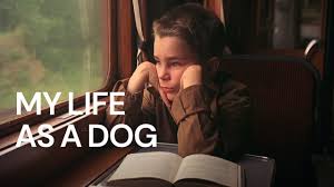 My Life as a Dog (1985) | MUBI