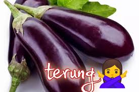Mungkin pantang larang ini nampak remeh, tapi terdapat fakta saintifik yang boleh dipelajari dari perkara ini. Pantang Larang Dan Mitos Raja Buah Buah Durian Ciktie Dot Com