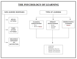 Learning Ms Shattocks Stage 2 Psychology