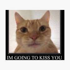 I Am Going To Kiss You Cat Photographic Print By Conspiracy0 Redbubble